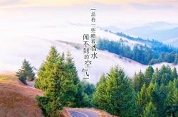 LOL赛事-（扩展思维版）