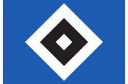 英雄联盟总决赛直播-汉堡SV未能抵挡弗赖堡攻势，遭受失利的简单介绍