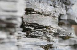 英雄联盟总决赛赛程-沙漠风暴，当三狮军团用钢铁洪流碾碎命运，费利克斯在废墟上点亮孤星