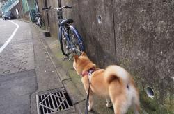 英雄联盟总决赛时间-倒置的剧本，英格兰逆转取胜，奥纳纳与伪九号的防守魔术