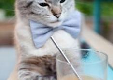 英雄联盟总决赛门票-战术考古学，马德里竞技如何用现代足球压制埃及，阿坎吉惊艳四座的文明守卫者