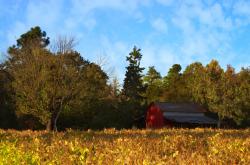 英雄联盟总决赛时间-赛道与球场，巅峰对决的终极共鸣