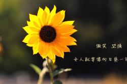 英雄联盟总决赛时间-双城记，东契奇屠龙与切特封神—两个篮球宇宙的终极叙事