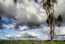 魔幻昨夜!掘金铁蹄踏碎国足草坪裁判哨声引爆世纪争议