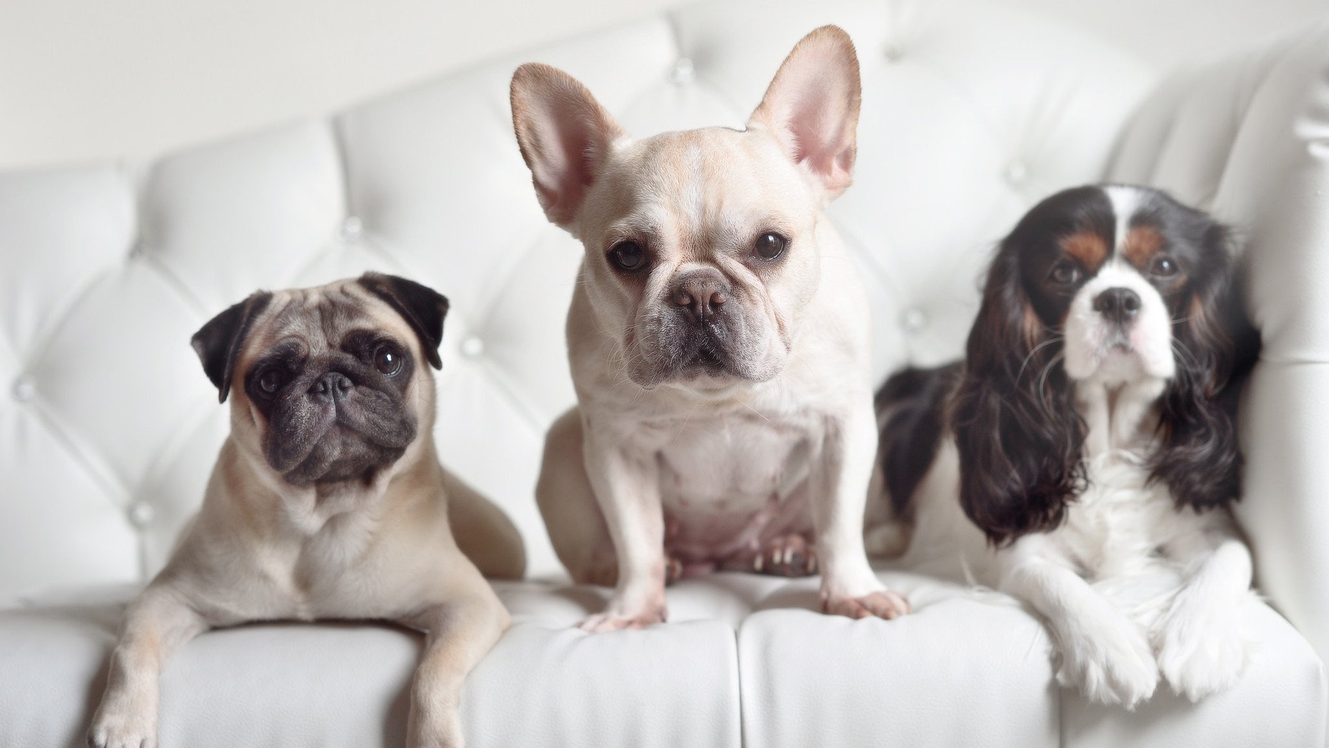 孤胆救火，当杜兰特在奇才围剿下完成一次无解的数学证明