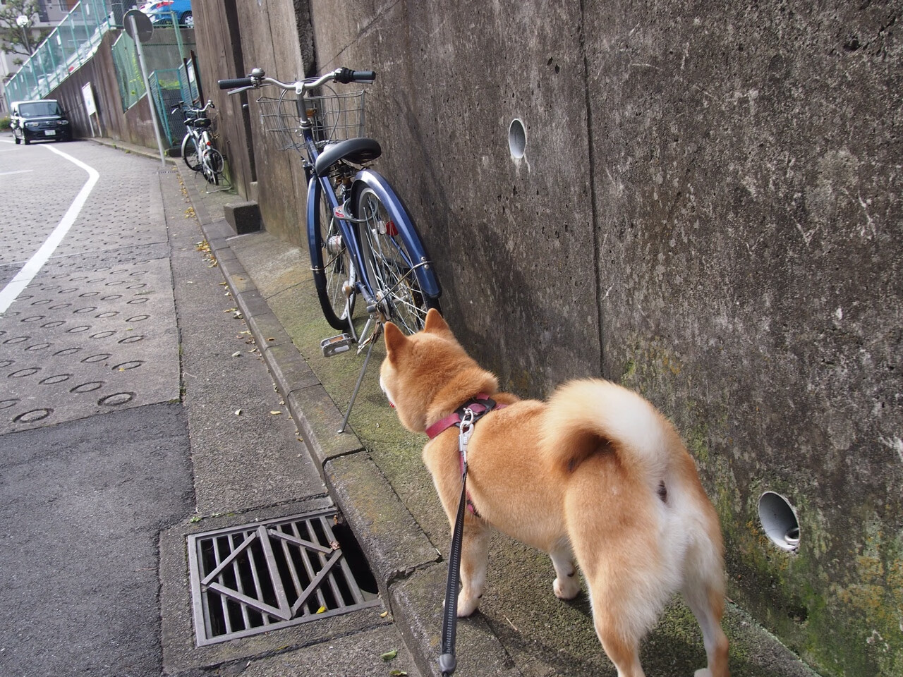 倒置的剧本，英格兰逆转取胜，奥纳纳与伪九号的防守魔术
