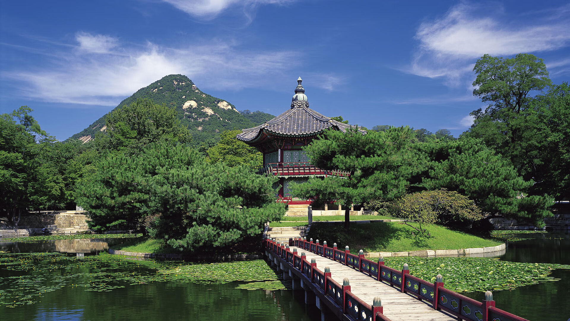 丛林法则,灰熊的集体绞杀与杜兰特的孤峰统治