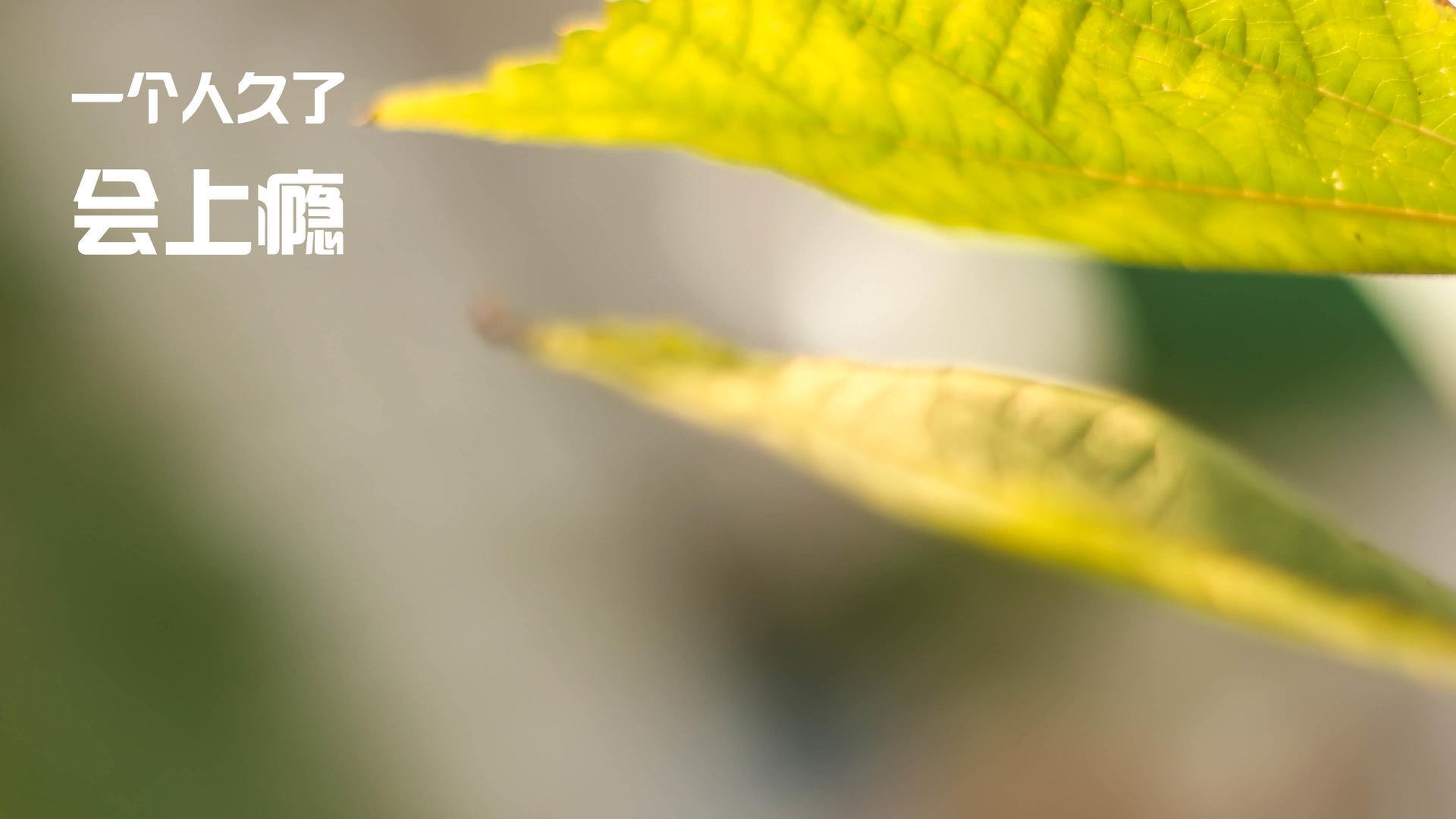 第12分钟的裁决,杰伦格林如何让欧冠半决赛一夜之间失去悬念