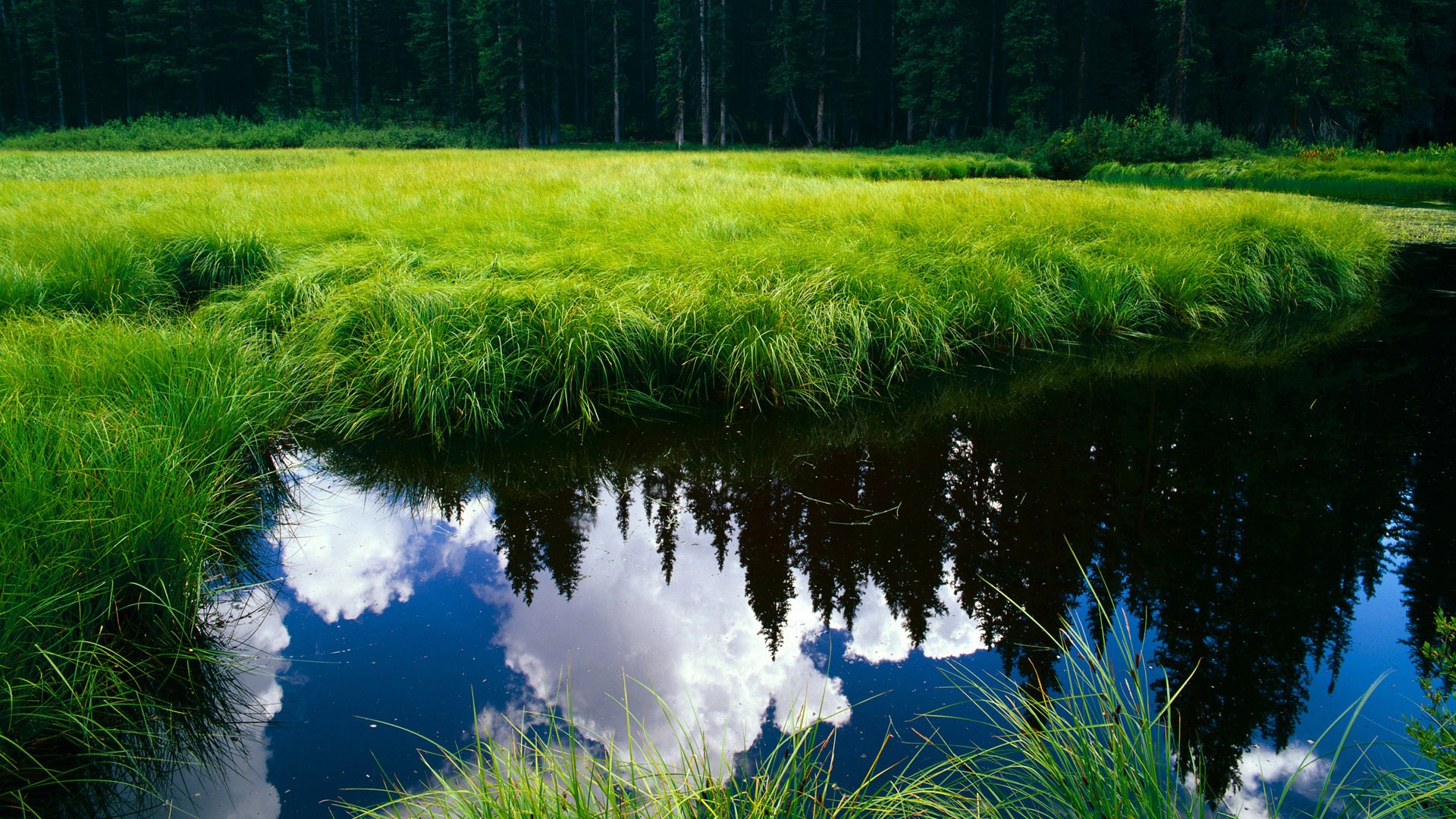 逆转之夜,德甲争冠焦点战与独行侠惊天逆转的共鸣