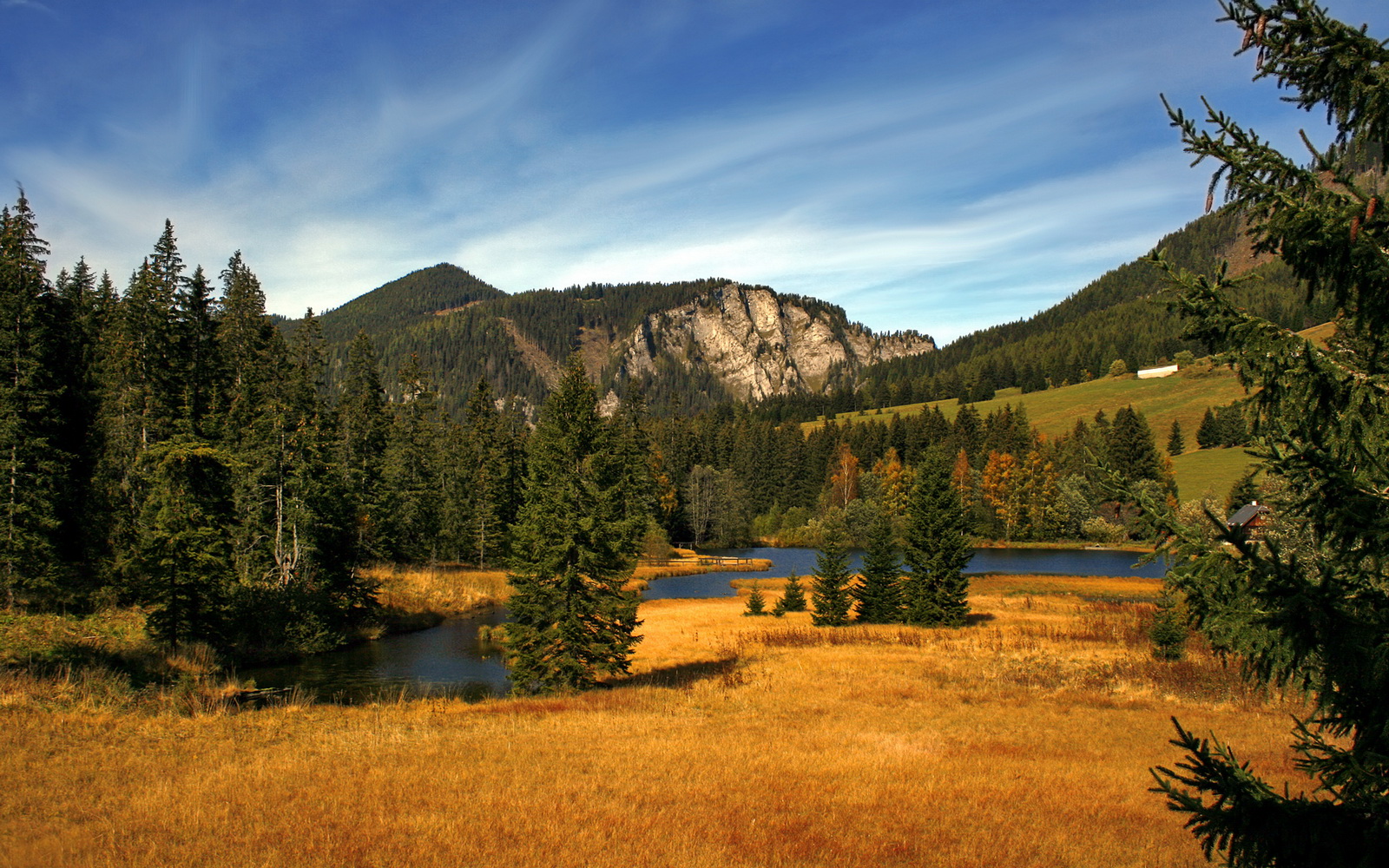 跨界风暴，勒沃库森牙买加提前终结夺冠悬念，三笘薰F1街道赛奇迹接管
