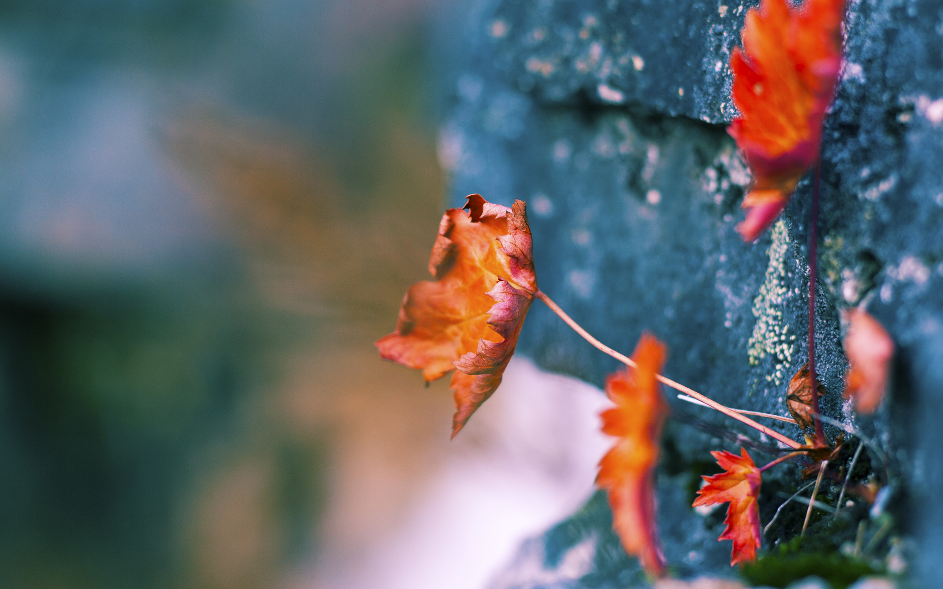 南境飓风席卷黄金城，铁蹄之下，伊萨克铸就唯一传奇