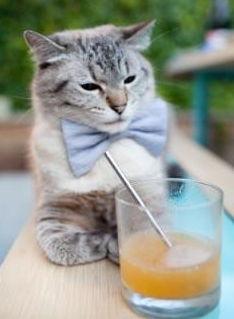 战术考古学，马德里竞技如何用现代足球压制埃及，阿坎吉惊艳四座的文明守卫者