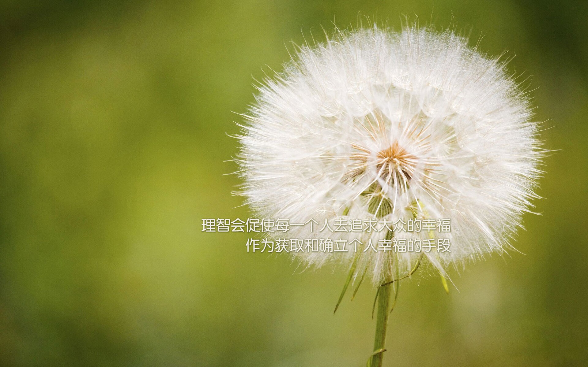 阿克一锤定音,瑞士决胜时刻击碎几内亚的黑马之梦