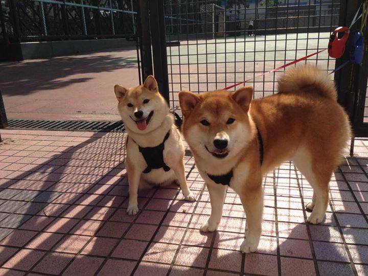 百川归海，小贾伦生涯之夜汇入太阳制霸之海