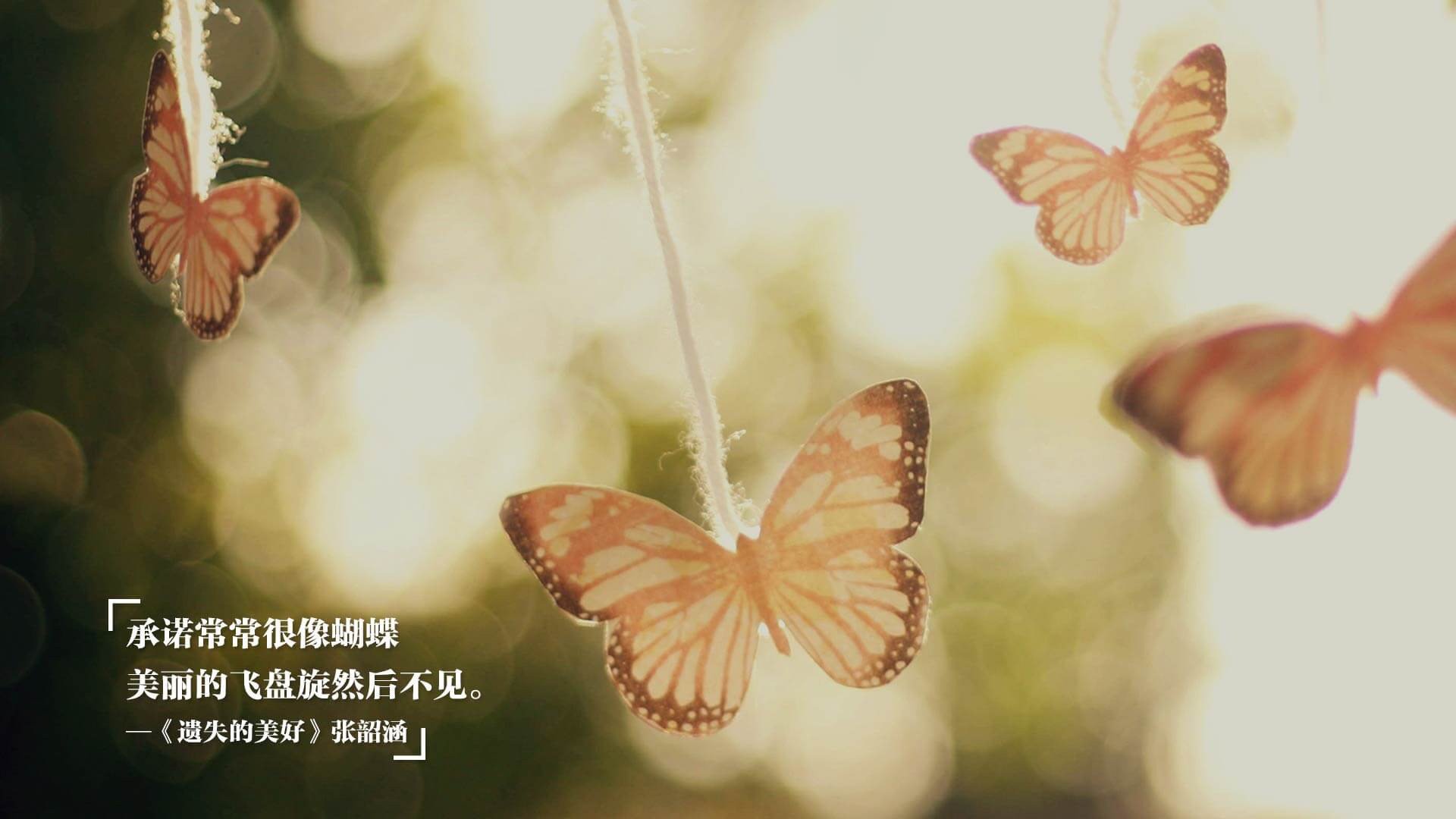 绿金权杖与橙色烈焰，当完美体系遇上无解单打