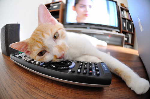 客队领袖的逆袭，西亚卡姆用里程碑战刃旧主，猛龙魂在迈阿密重生？