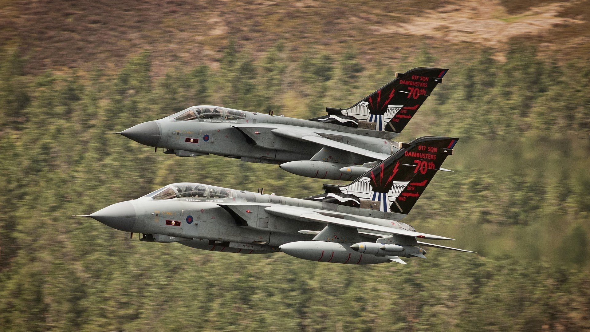 跨界制霸,塔图姆从麦迪逊广场花园杀向F1街道赛的终极接管