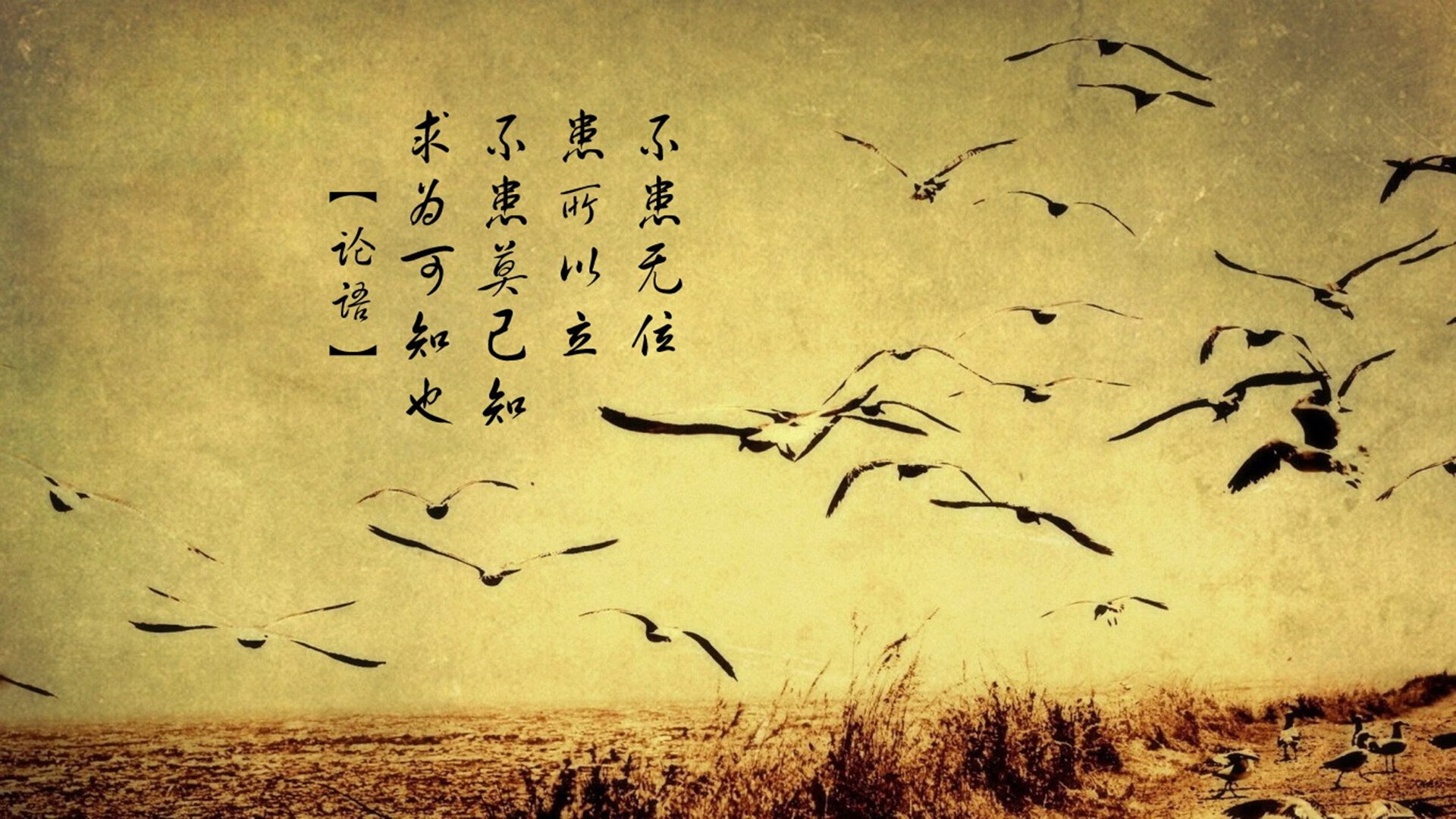 中场之王的统治,法国在2026世界杯小组赛中如何用控制力完胜塞尔维亚,罗德里戈的致命一击定乾坤