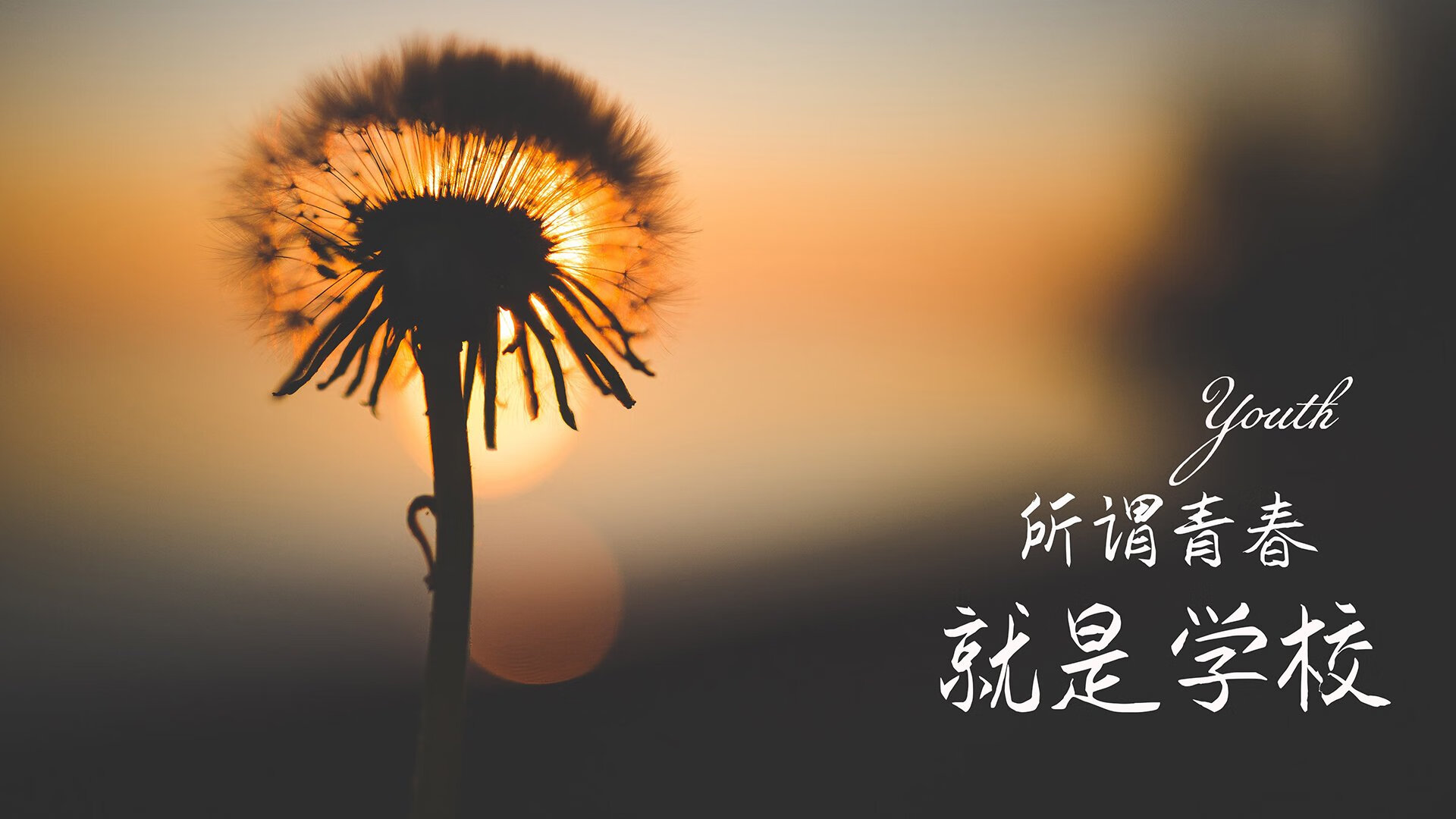 冰雪终章，2026世界杯D组，哈基米致命一击下的哥斯达黎加史诗逆转